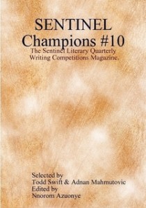 sentinel champions 10 cover
